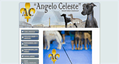 Desktop Screenshot of angelo-celeste.com